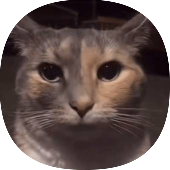 Carfy4